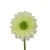 Kwiat sztuczny, gerbera w kolorze jasno zielonym 47 cm
