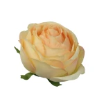 Kwiat sztuczny róża angielska w kolorze brzoskwiniowym 9 cm