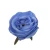 Sztuczna różyczka w kolorze niebieskim 7 cm