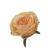 Sztuczna różyczka w kolorze brzoskwiniowym 7 cm