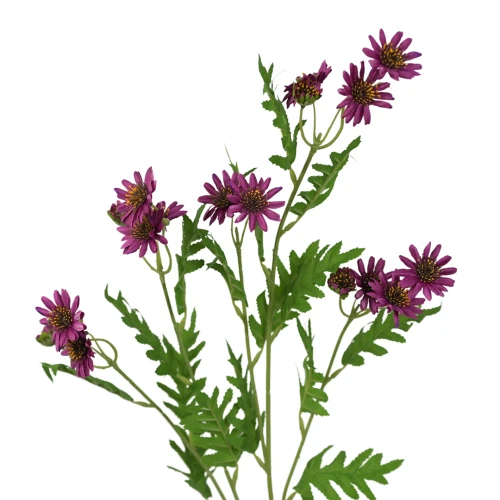 Kwiat sztuczny gałązka marcinków w kolorze fuksji 84 cm