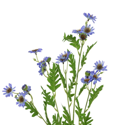 Kwiat sztuczny gałązka marcinków w kolorze niebieskim 84 cm