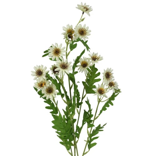 Kwiat sztuczny gałązka marcinków w kolorze kremowym 84 cm