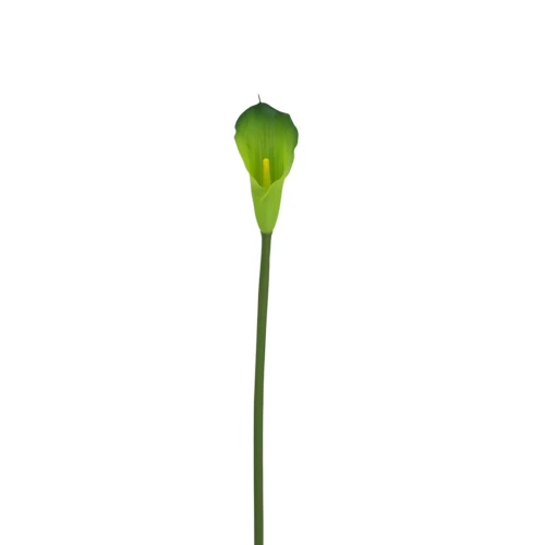 Sztuczny kwiat kalii gumowy w kolorze zielonym 70 cm