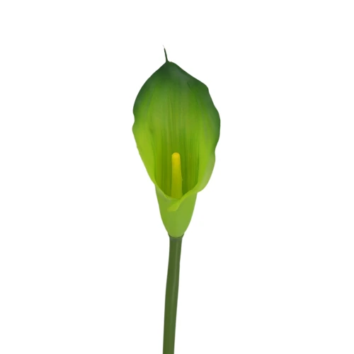 Sztuczny kwiat kalii gumowy w kolorze zielonym 70 cm