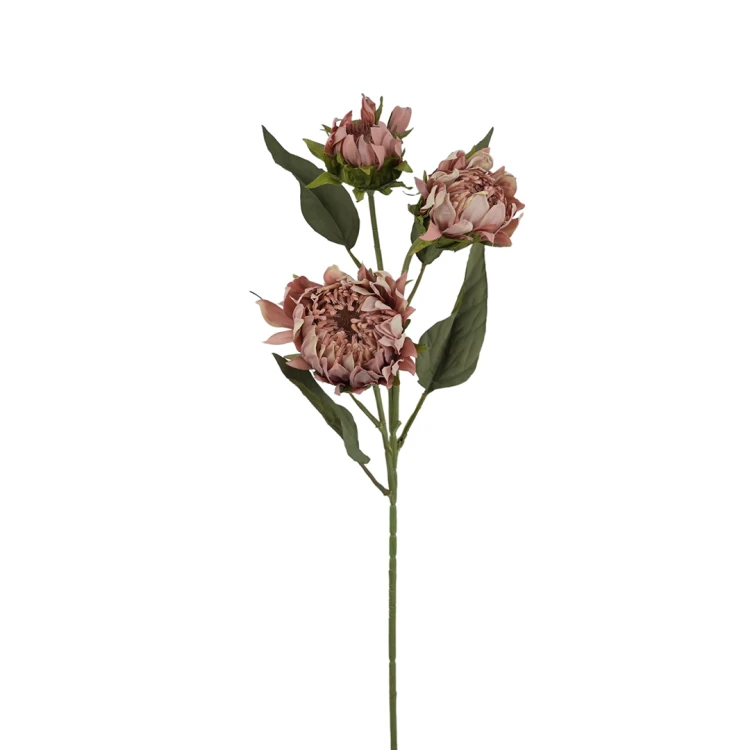 Protea 76 cm