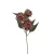 Protea 76 cm