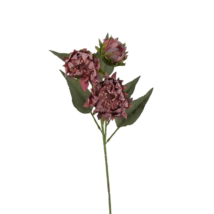 Protea 76 cm