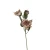 Protea 76 cm