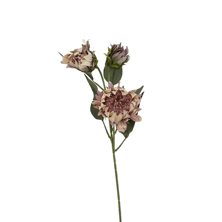 Protea 76 cm
