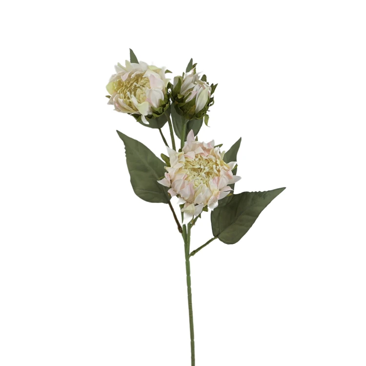 Protea 76 cm