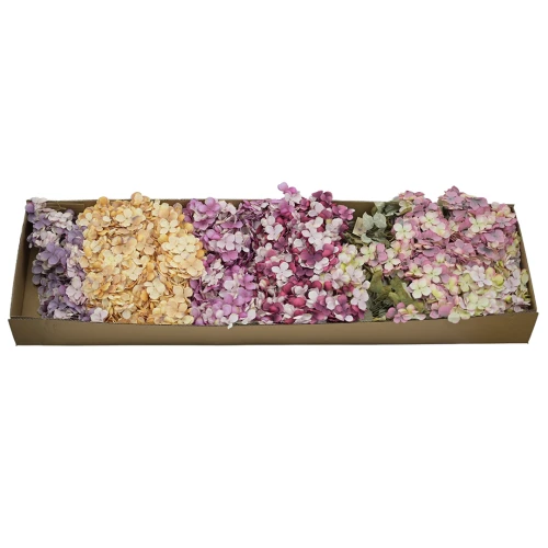 Karton drobnej hortensji mix kolorów 34 cm