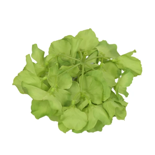 Sztuczna hortensja w kolorze ciemno zielonym 19 cm