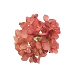 Kwiat sztuczny głowa hortensji w kolorze czerwono/różowym 18 cm