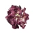 Kwiat sztuczny głowa hortensji w kolorze bordowym 18 cm