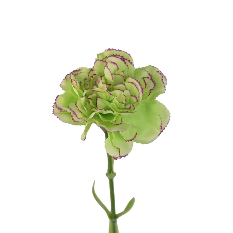 Kwiat sztuczny pojedynczy goździk w kolorze zielonym 68 cm