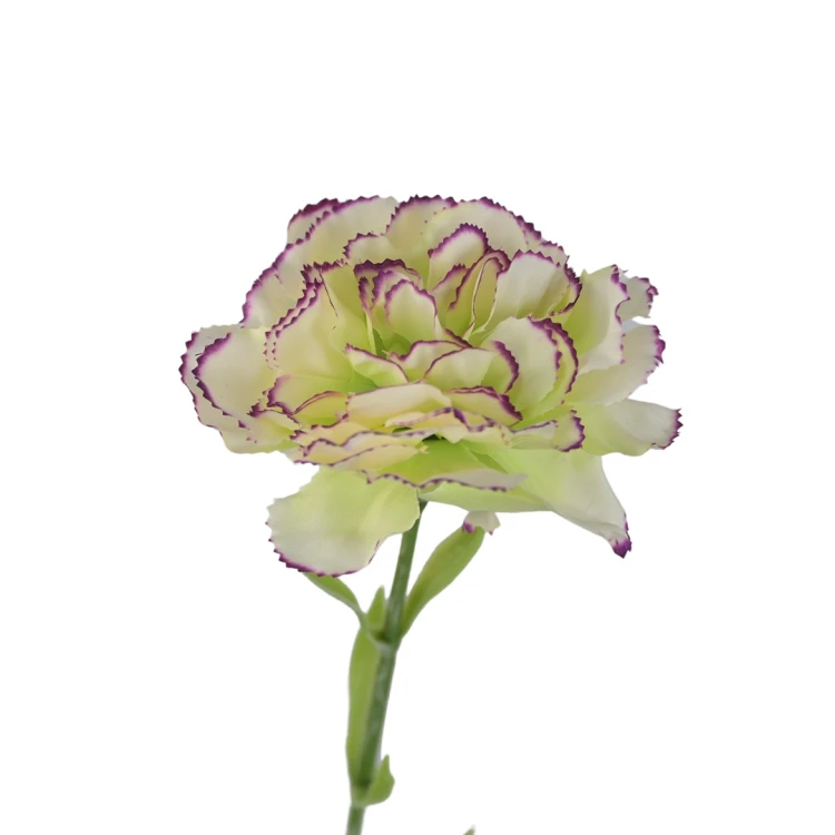 Kwiat sztuczny pojedynczy goździk w kolorze zielono/fioletowym 68 cm