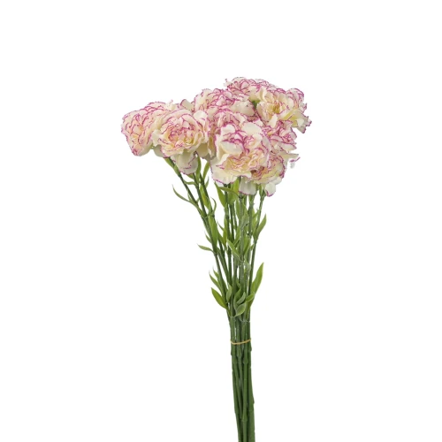 Kwiat sztuczny pojedynczy goździk w kolorze kremowo/fuksji 68 cm