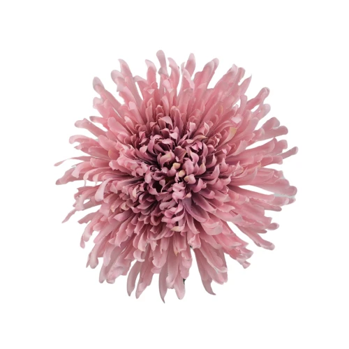 Kwiat sztuczny, chryzantema strzępiata w kolorze różowym 19 cm