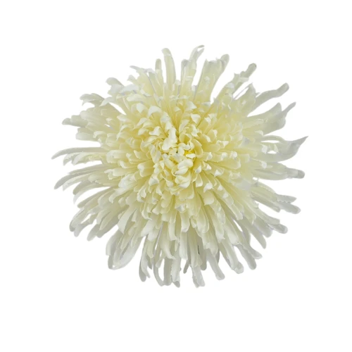 Kwiat sztuczny, chryzantema strzępiata w kolorze kremowym 19 cm