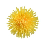 Kwiat sztuczny, chryzantema strzępiata w kolorze żółtym 19 cm