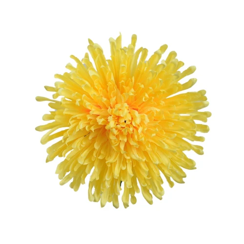 Kwiat sztuczny, chryzantema strzępiata w kolorze żółtym 19 cm