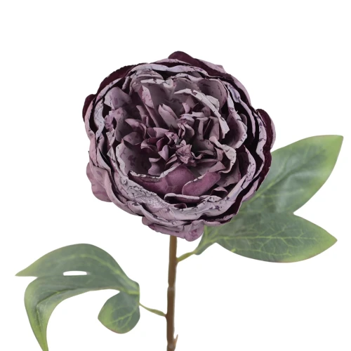 Sztuczna piwonia pojedyncza w kolorze fioletowym 57 cm