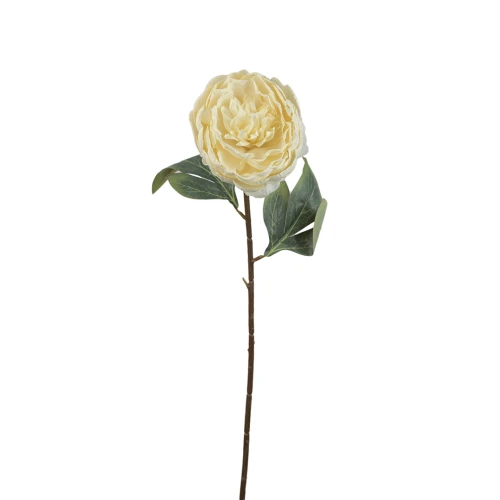 Sztuczna piwonia pojedyncza w kolorze waniliowym 57 cm