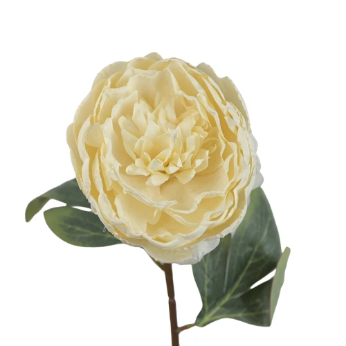 Sztuczna piwonia pojedyncza w kolorze waniliowym 57 cm