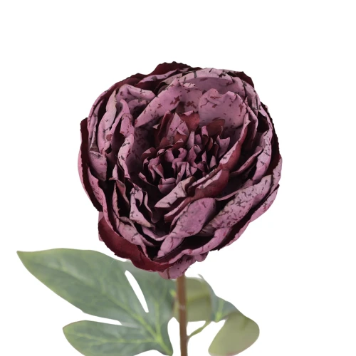 Sztuczna piwonia pojedyncza w kolorze fuksji 57 cm