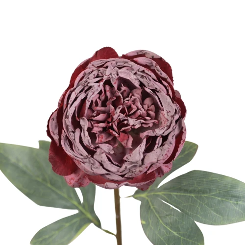 Sztuczna piwonia pojedyncza w kolorze czerwonym 57 cm