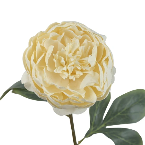 Sztuczna piwonia pojedyncza w kolorze kremowym 57 cm