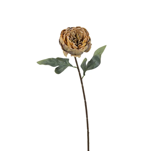 Sztuczna piwonia pojedyncza w kolorze brzoskwiniowym 57 cm