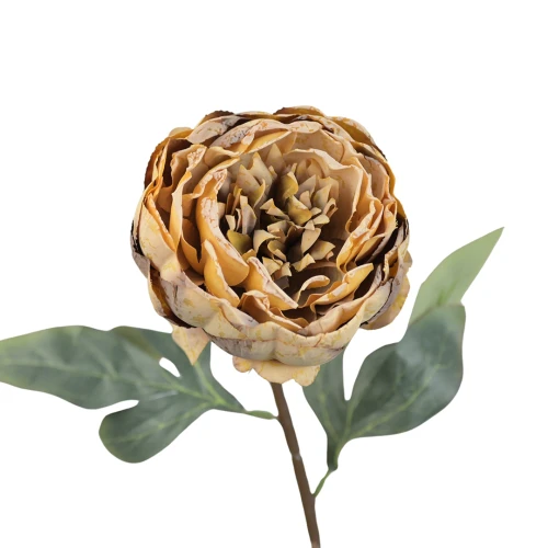 Sztuczna piwonia pojedyncza w kolorze brzoskwiniowym 57 cm