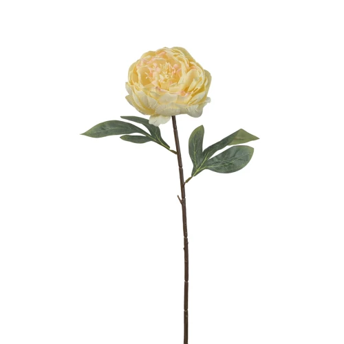 Sztuczna piwonia pojedyncza w kolorze wanilii z różem 57 cm