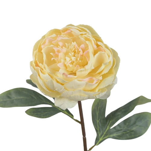 Sztuczna piwonia pojedyncza w kolorze wanilii z różem 57 cm