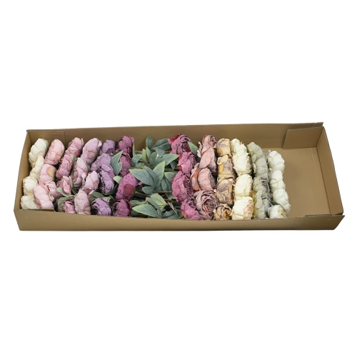 Karton piwonii pojedynczej mix kolorów 57 cm