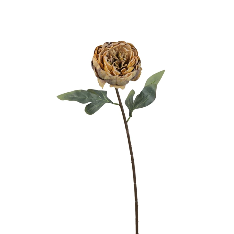 Piwonia 57 cm