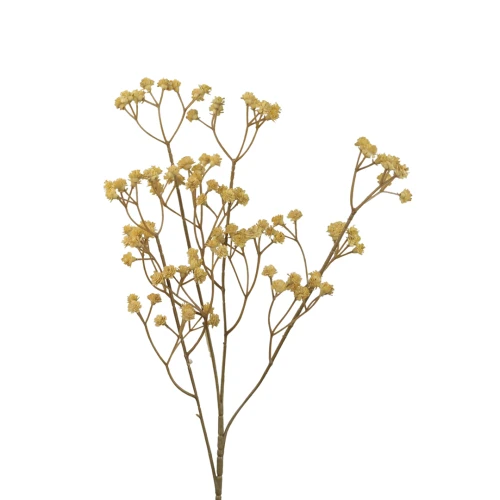 Sztuczna gipsówka w kolorze brudnym żółtym 66 cm