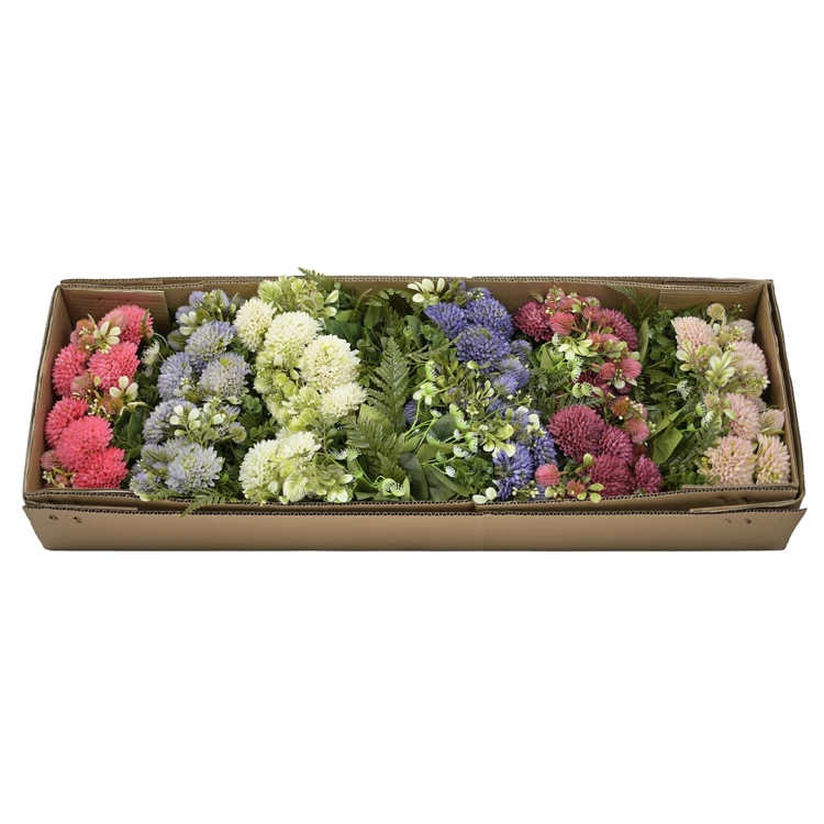 Karton bukietu czosnku x6 mix kolorów 44 cm