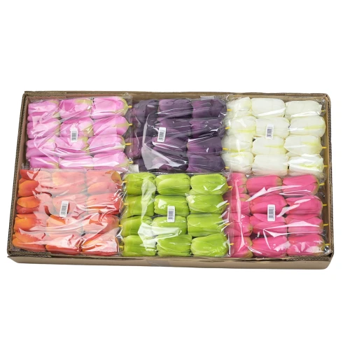 Karton tulipana mix 3