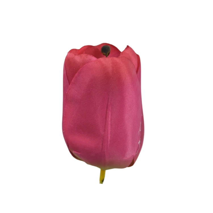Tulipan 6 cm