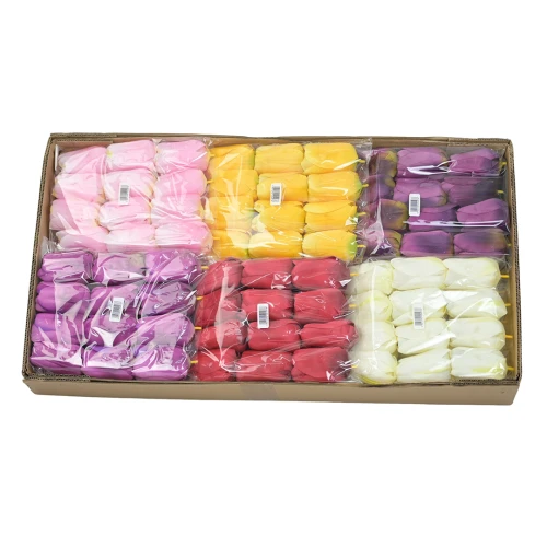 Karton tulipana mix 4