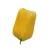 Tulipan 6 cm