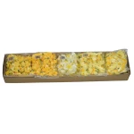 Karton mini żonkila mix kolorów 6 cm