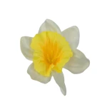 Sztuczny mini żonkil w kolorze kremowym 6 cm