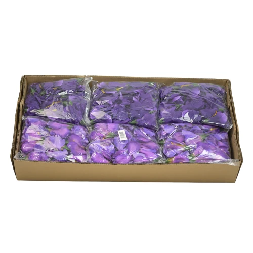 Karton irysa mix kolorów 7 cm