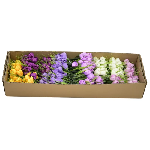 Bukiet krokus mix 2 w różnych kolorach x12