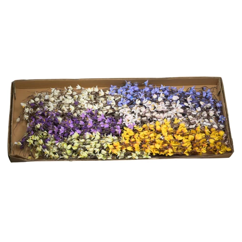 Bukiet forsycja cały karton mix kolorów 80 cm