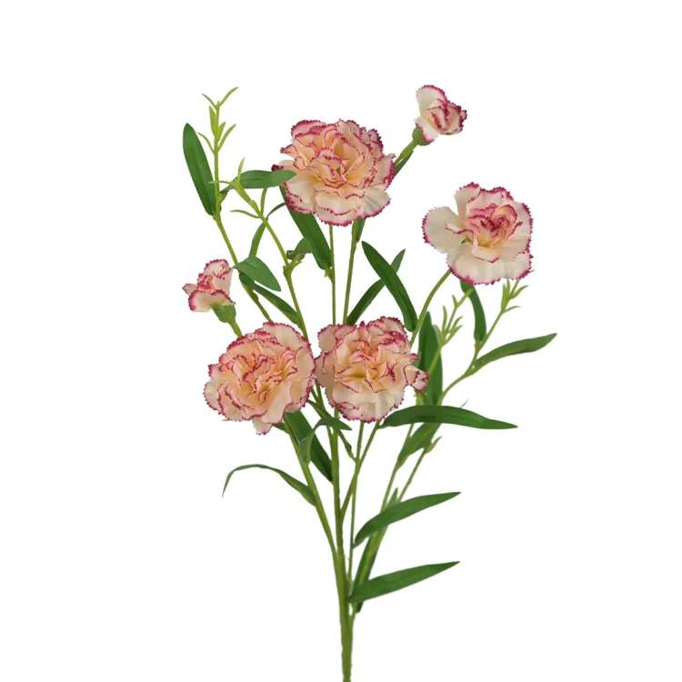 Sztuczny drobny gałązkowy goździk x6 w kolorze kremowo/bordowym 72 cm